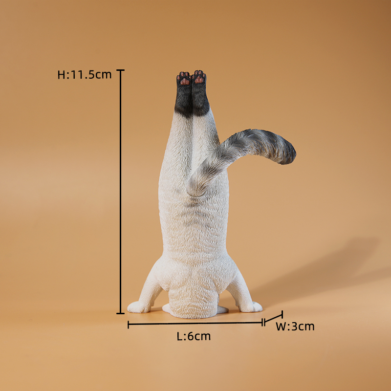 1/6 Scale Mini Simulated Fitne – Yoga Fitness Tva Bewertung und Preis