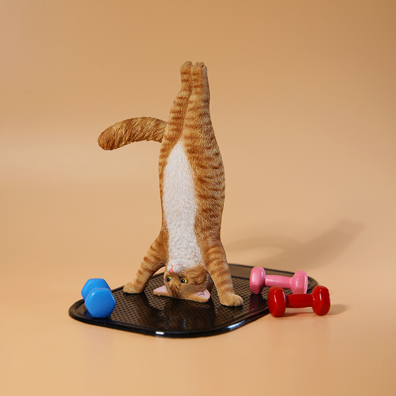 1/6 Scale Mini Simulated Fitne – Yoga Fitness Tva Bewertung und Preis