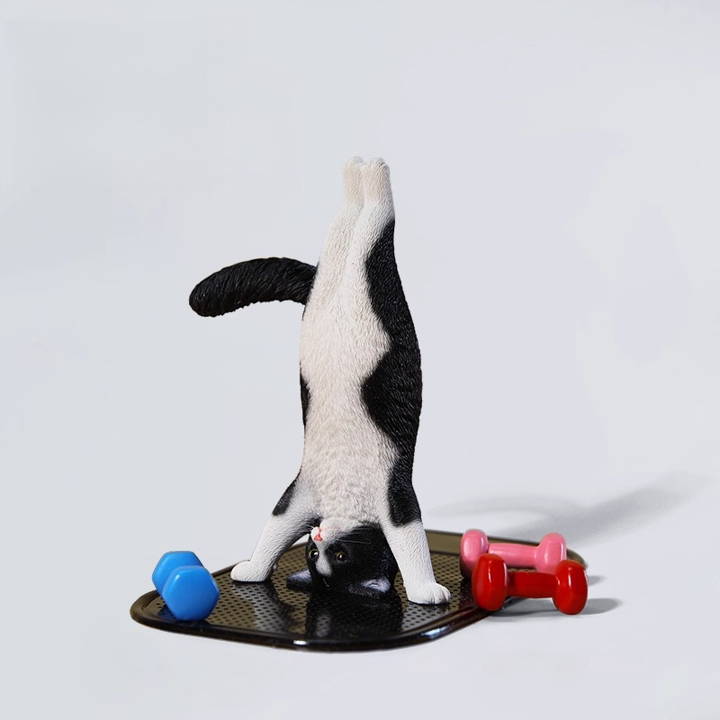 1/6 Scale Mini Simulated Fitne – Yoga Fitness Tva Bewertung und Preis