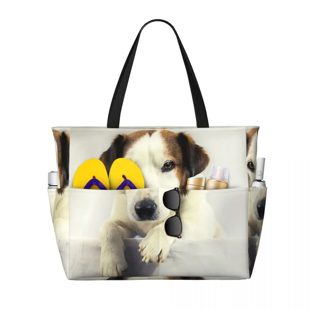 Dog Jack Russell Terrier Photo – Yoga Fitness Photos Bewertung und Preis