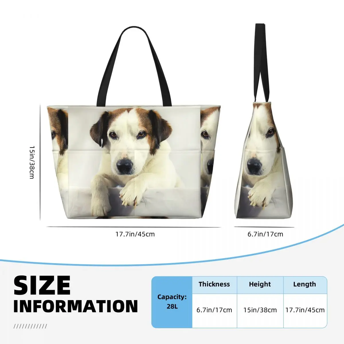 Dog Jack Russell Terrier Photo – Yoga Fitness Photos Bewertung und Preis